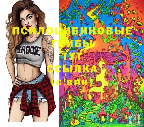 2c-b Лихославль